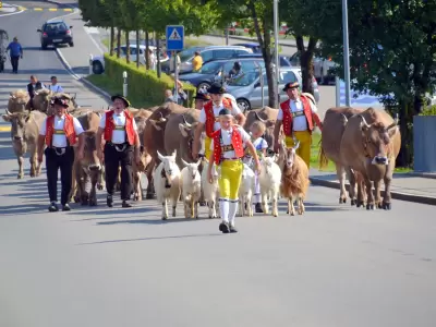 Waldstatt Tourismus