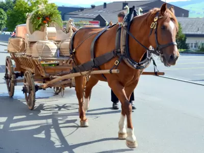 Waldstatt Tourismus