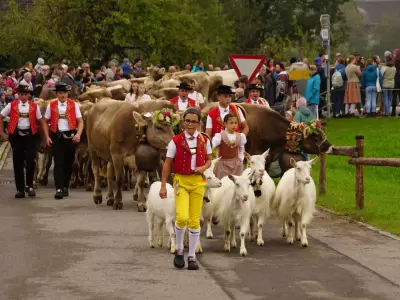 Viehschau | Oktober 2025