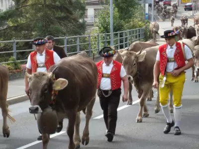 Waldstatt Tourismus